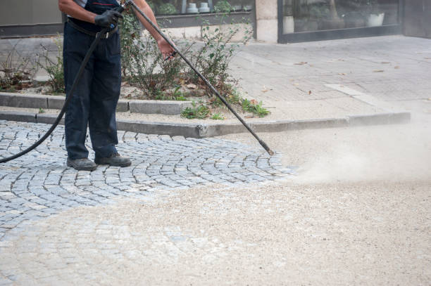 Best Driveway Cleaning and Restoration in USA